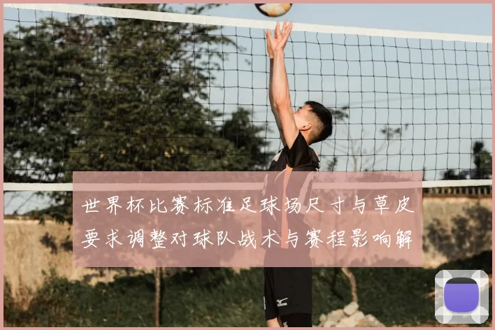 世界杯比赛标准足球场尺寸与草皮要求调整对球队战术与赛程影响解读